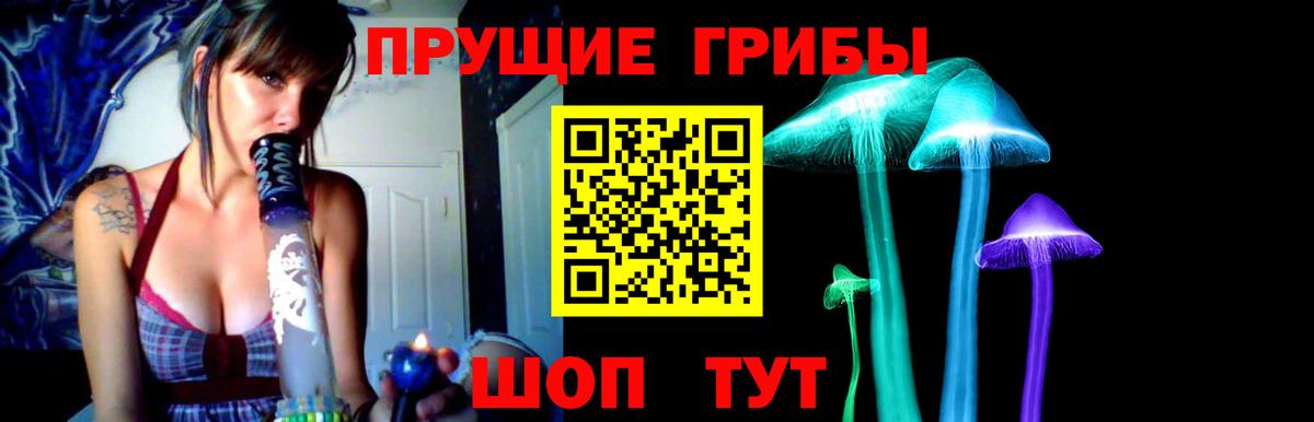 Знаменск  Галлюциногенные грибы Psilocybine cubensis  Вход с VPN 